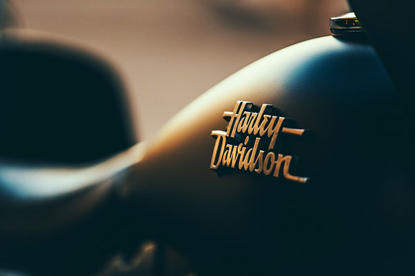 Harley-Davidson električni motor